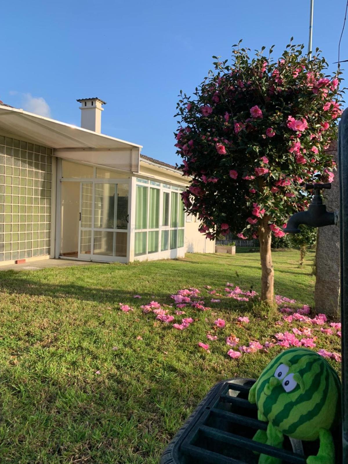 A Casa De Abelleira Ponteareas Bed & Breakfast Luaran gambar