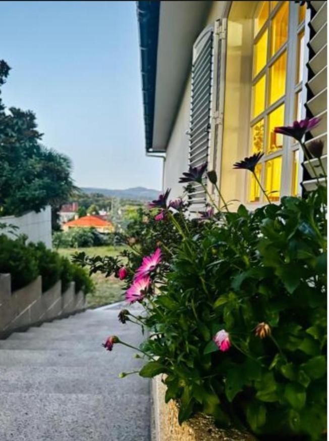 A Casa De Abelleira Ponteareas Bed & Breakfast Luaran gambar