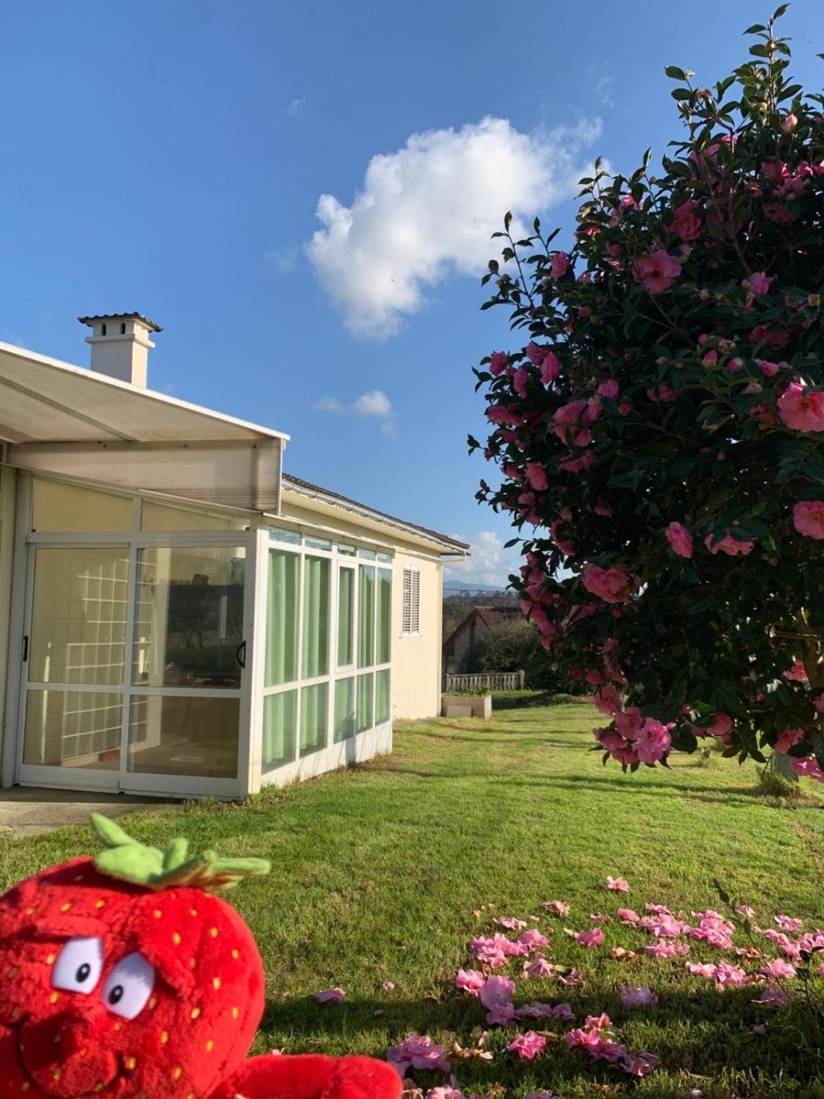 A Casa De Abelleira Ponteareas Bed & Breakfast Luaran gambar