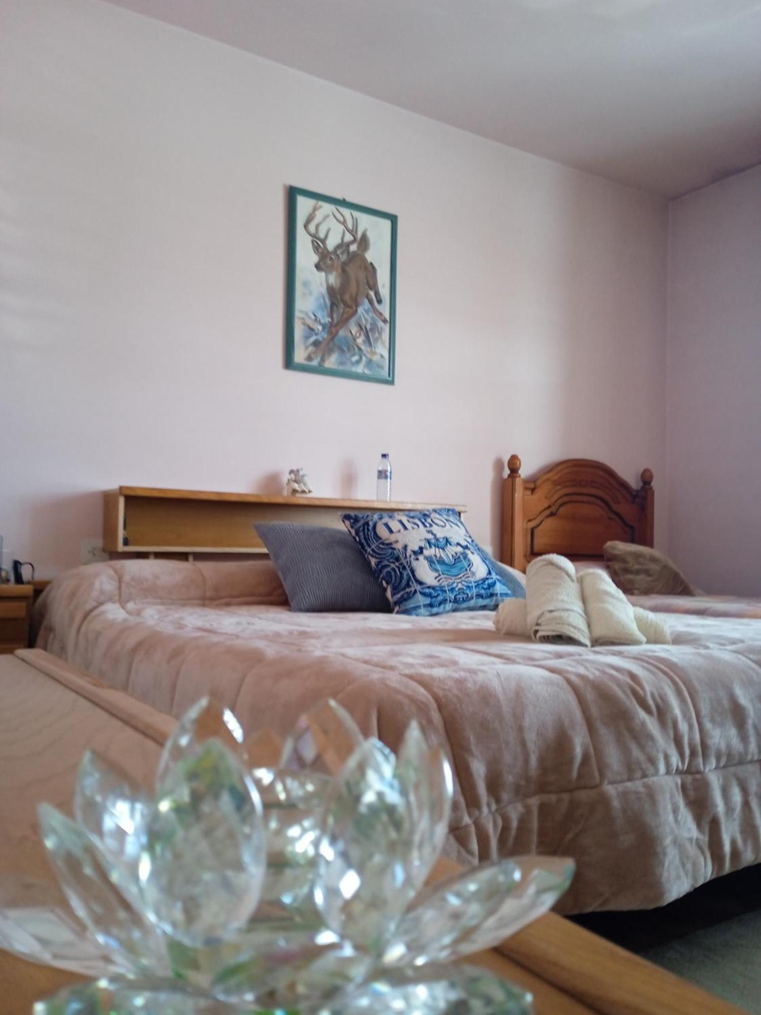 A Casa De Abelleira Ponteareas Bed & Breakfast Luaran gambar