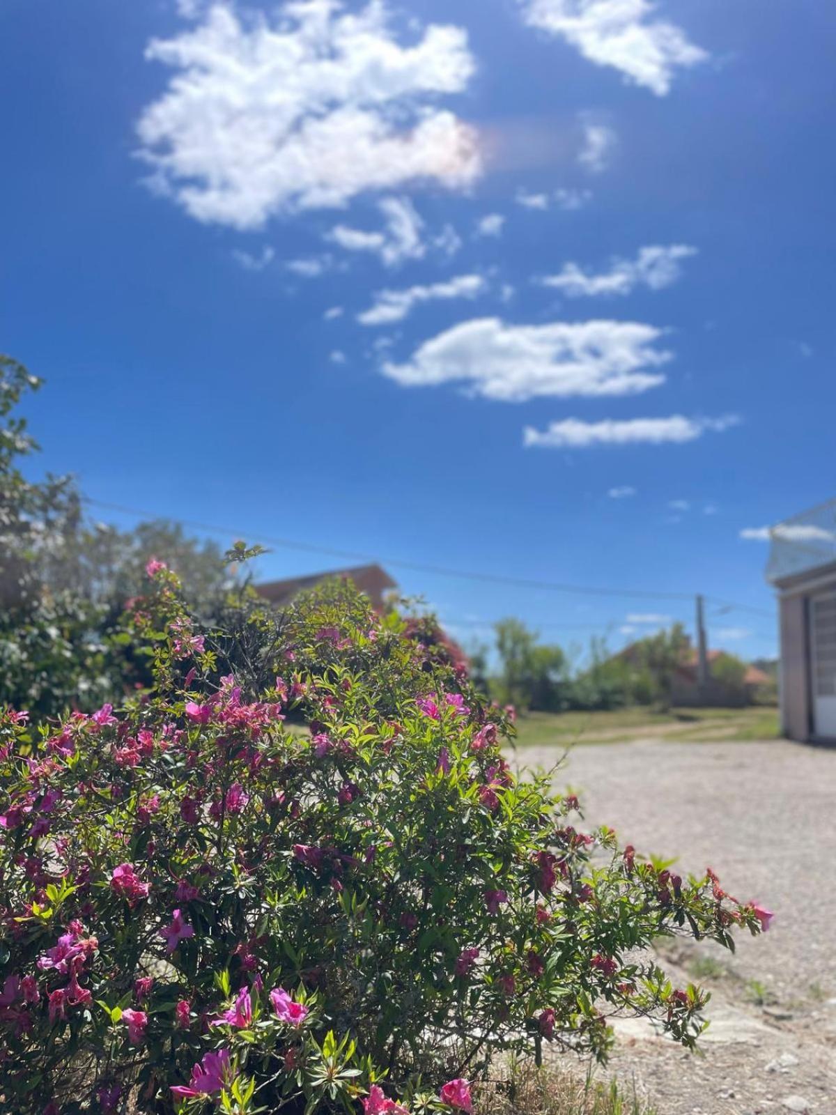 A Casa De Abelleira Ponteareas Bed & Breakfast Luaran gambar